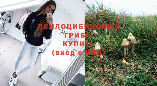 ECSTASY Аркадак