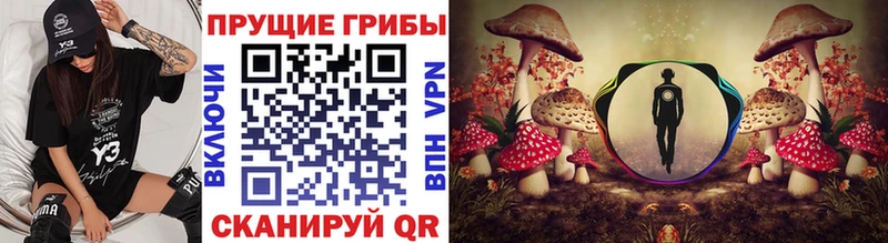 Псилоцибиновые грибы Cubensis  Сасово 